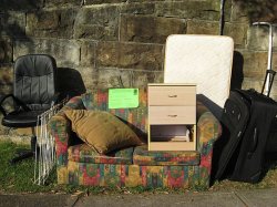 Book a clean-up collection - Waverley Council