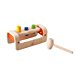 PlanToys