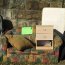 Council furniture Removal