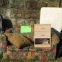 Council furniture Removal